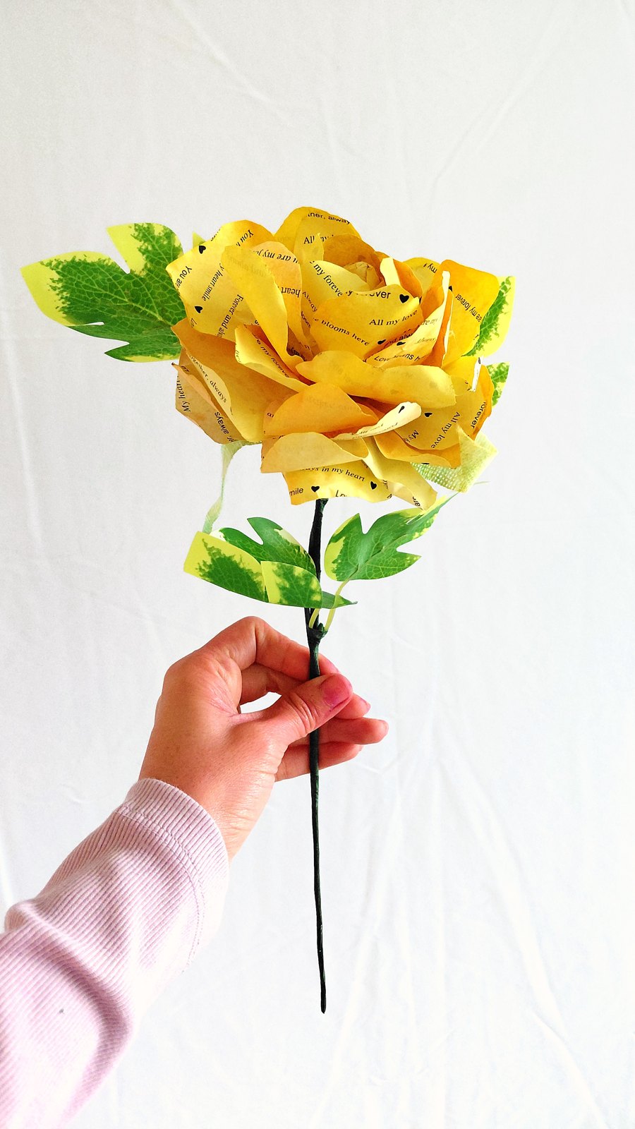 Rosa Love Notes pintada